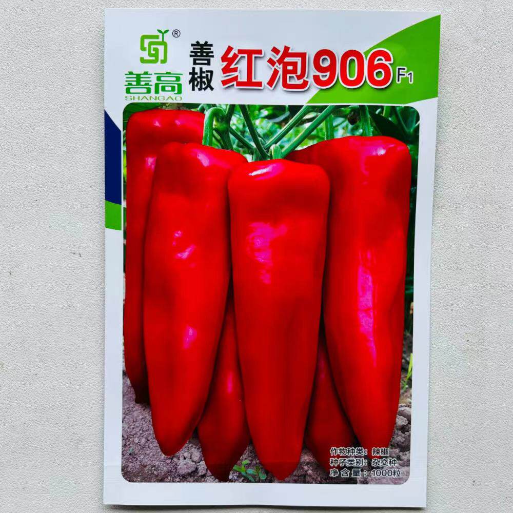 善椒红泡906辣椒种子中早熟粗牛角椒种籽果肉厚春秋播青红椒种孑