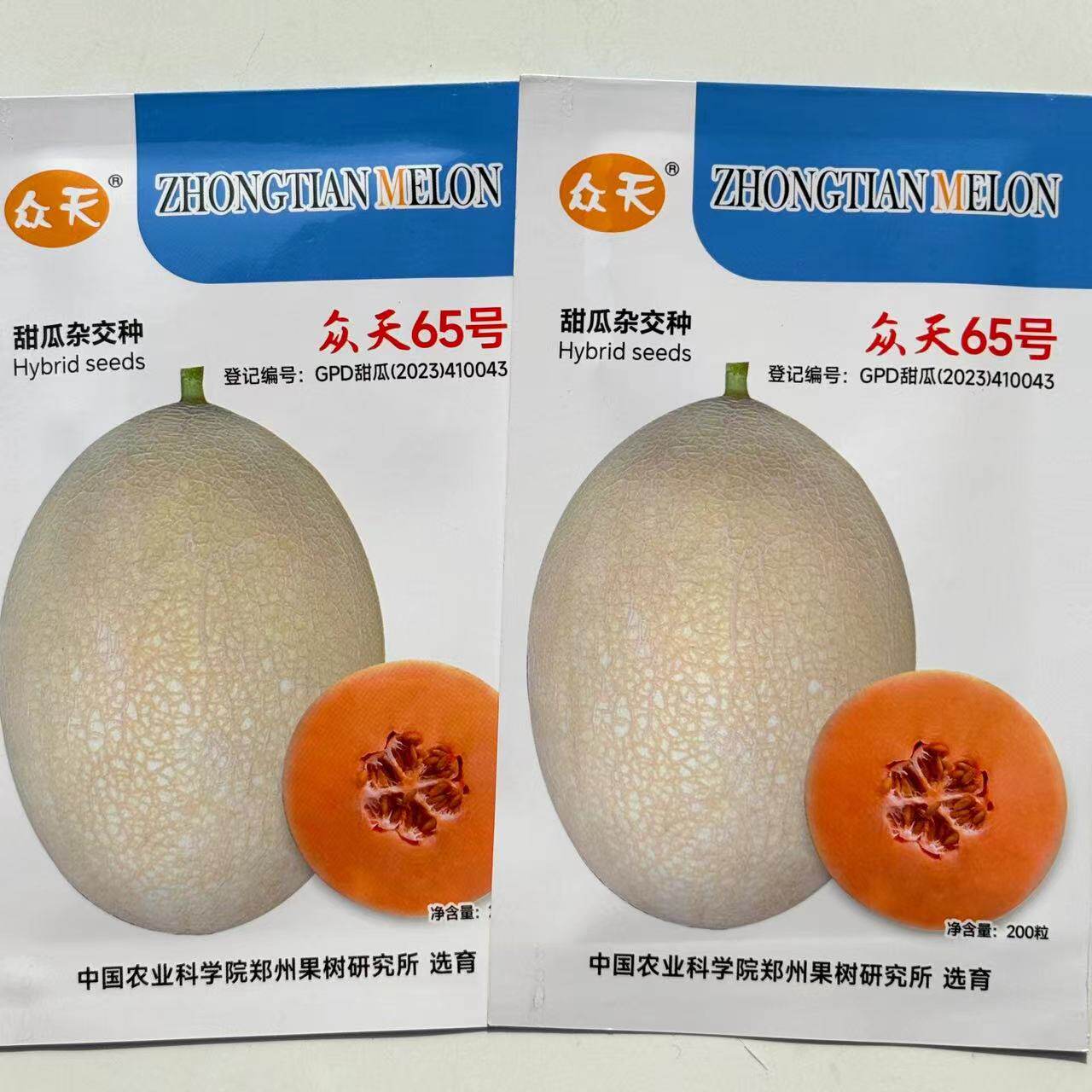 众天65号一代杂交网纹厚皮甜瓜白皮黄色带网纹肉橙红色脆甜爽口