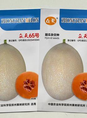 众天65号一代杂交网纹厚皮甜瓜白皮黄色带网纹肉橙红色脆甜爽口
