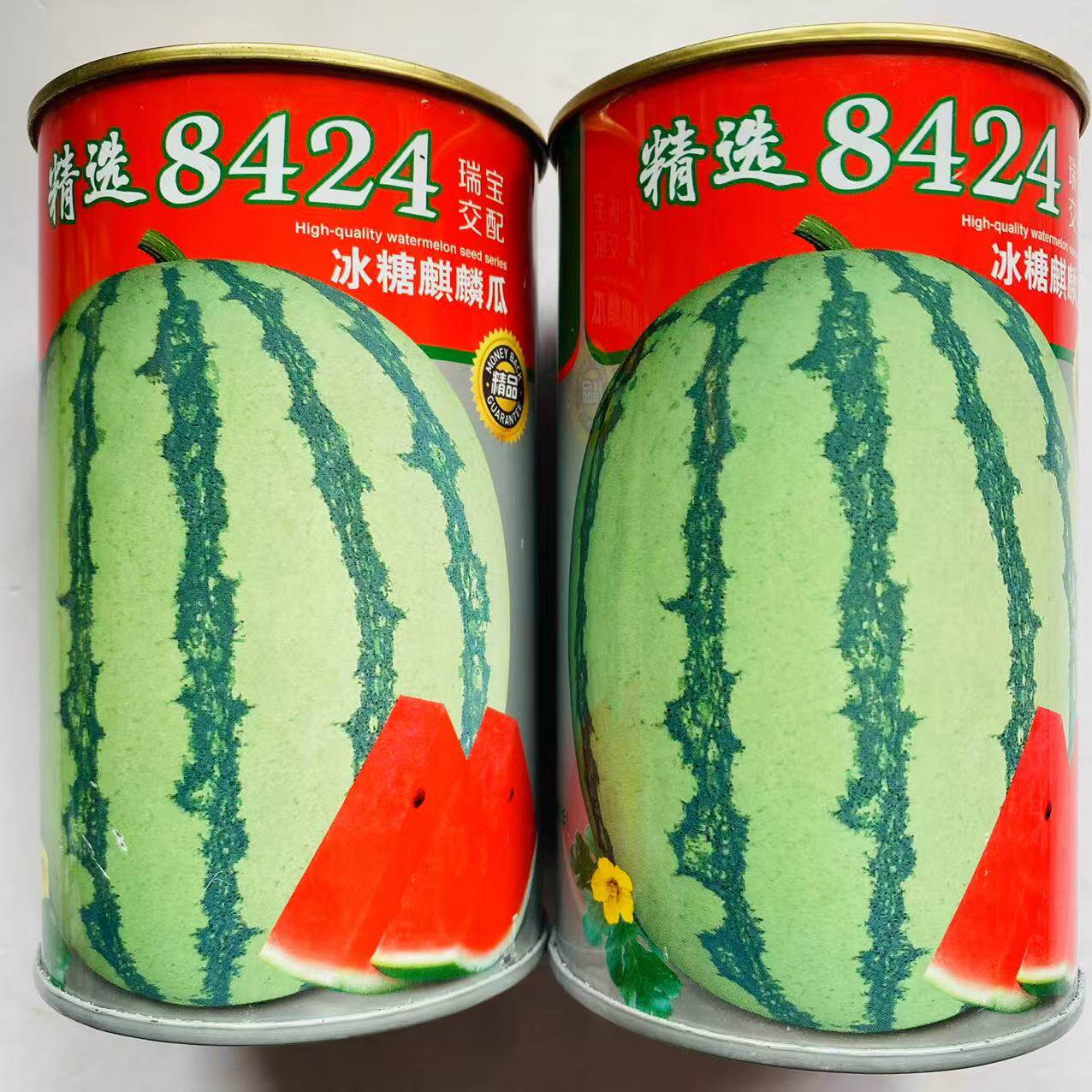 瑞美早佳8424高产西瓜种子种籽早熟冰糖麒麟瓜南方春秋四季瓜果种