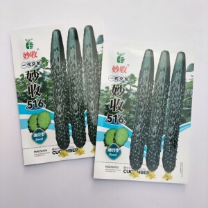 妙收516圆头无棱 果肉淡绿口感好商品性佳产量高适应性强黄瓜种子