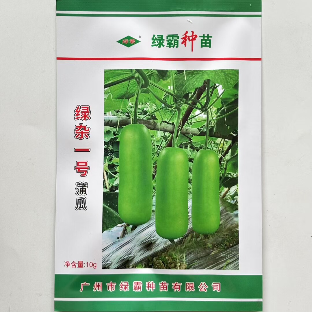 绿霸种苗绿杂一号短蒲瓜种子早熟皮色翠绿雌性强春秋种植瓠瓜种孑