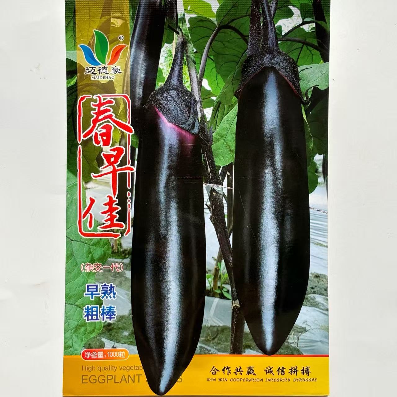春早佳杂交黑亮长茄种子果肉淡绿皮薄籽少肉质细腻甜糯挂果多正品