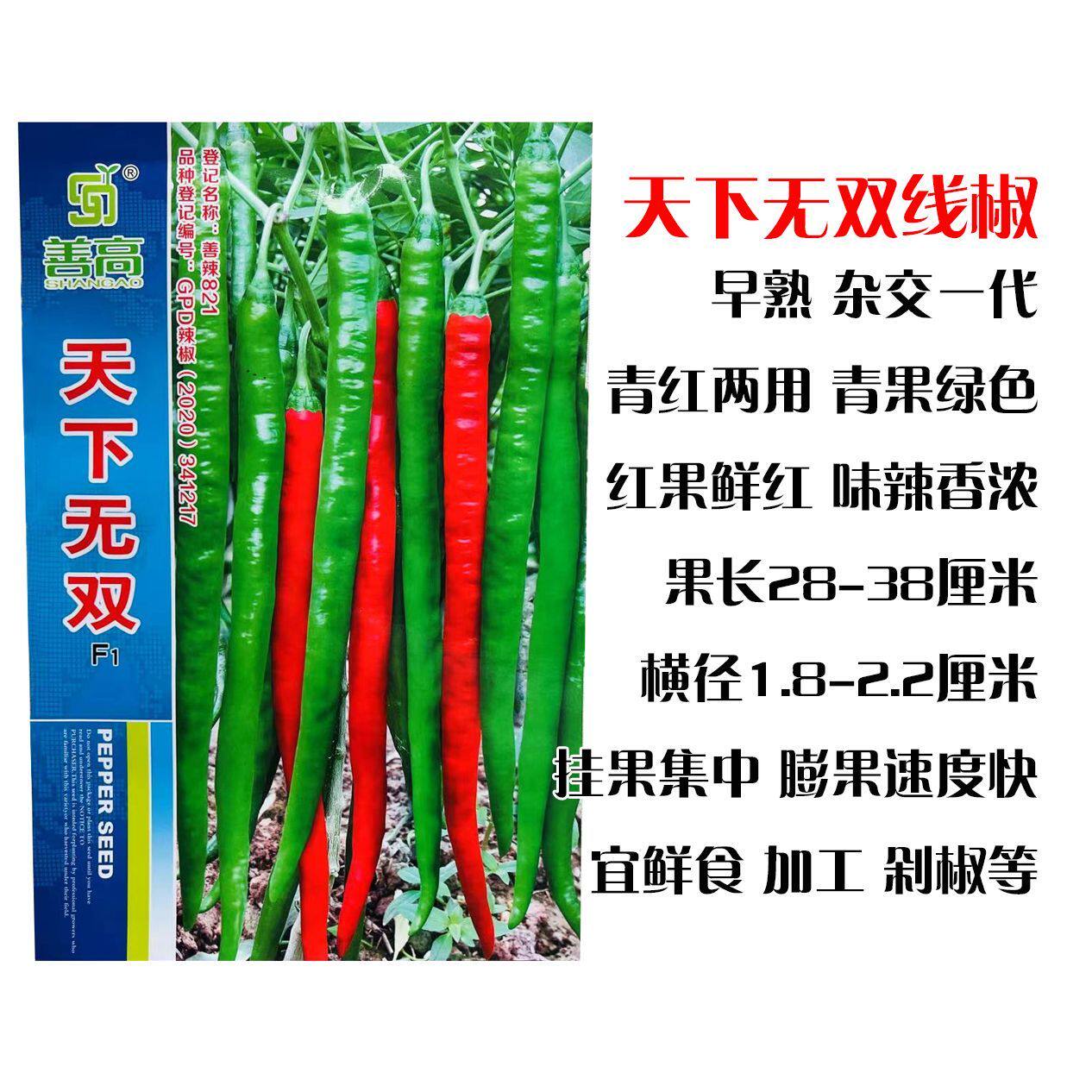 善高天下无双辣椒种子辣味浓早熟挂果集中抗病丰产春秋露地辣椒籽