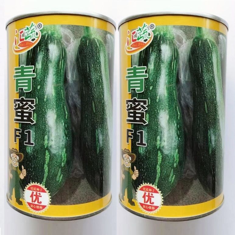青蜜嫩南瓜种子嫩绿皮高产蜜本南瓜种籽春季蔬菜水果早中熟雌花多