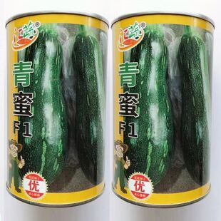 青蜜嫩南瓜种子嫩绿皮高产蜜本南瓜种籽春季蔬菜水果早中熟雌花多