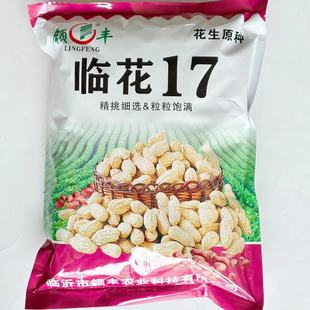 花育9616临花17白沙308百日红花生种子榨油抗病连续开花无壳花生