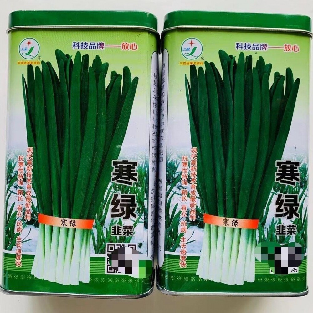 久星寒绿韭菜种子特抗寒抗病不休
