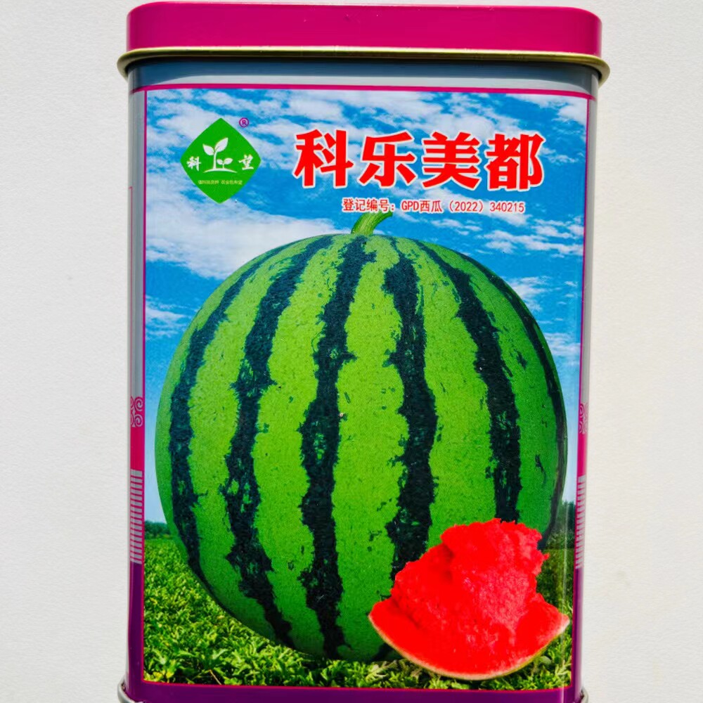 科乐美都西瓜种子耐热抗病早熟春