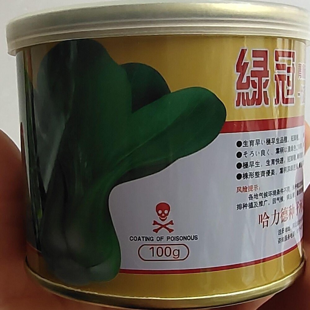 JYM绿冠青梗菜种子小青菜籽种子耐热蔬菜籽小青菜上海青大田专用