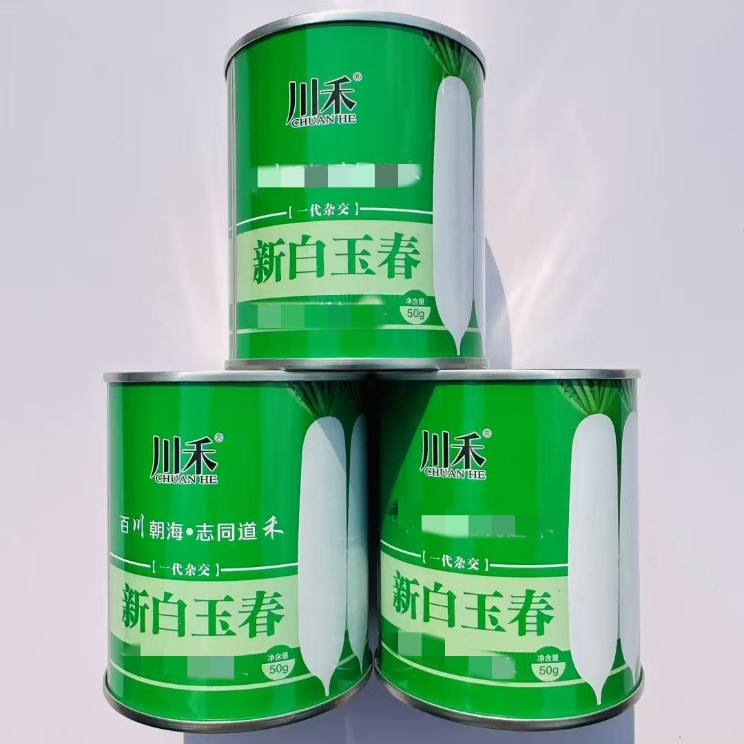 川禾特新白玉春白萝卜种子,播种后55-60天收获不易糠心肉质清脆