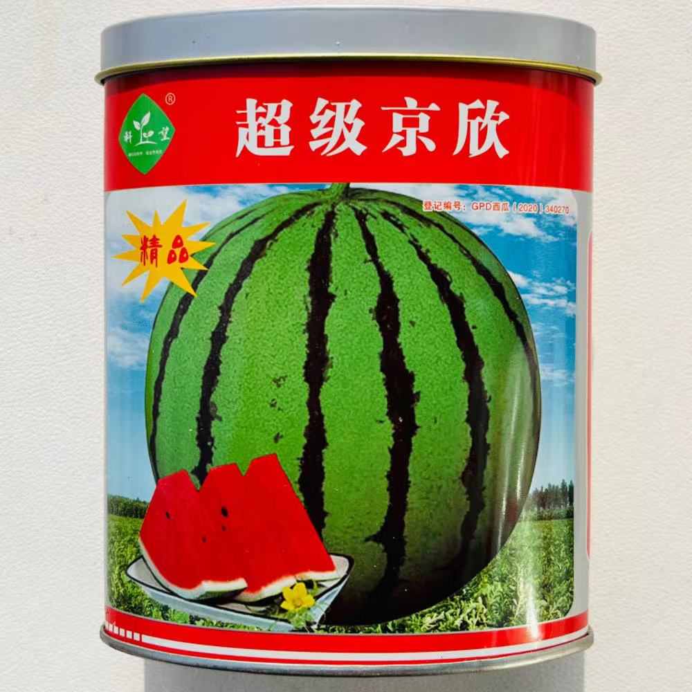 超级京欣西瓜种子杂交黑籽麒麟比8424耐裂粉红瓤早熟西瓜种籽孑