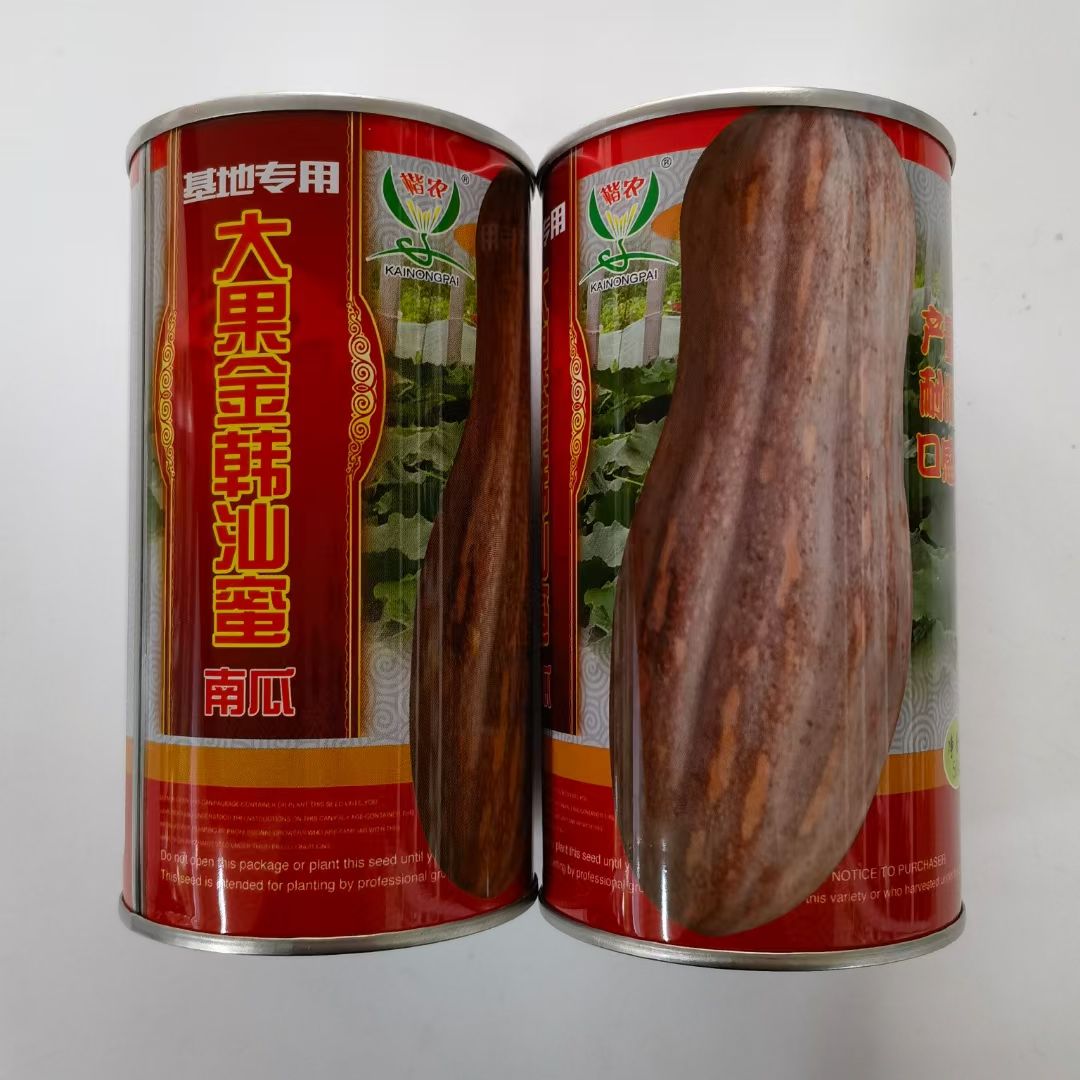 大果金韩汕蜜蜜本南瓜种子 高产耐储运口感好单果5-7公斤 50克