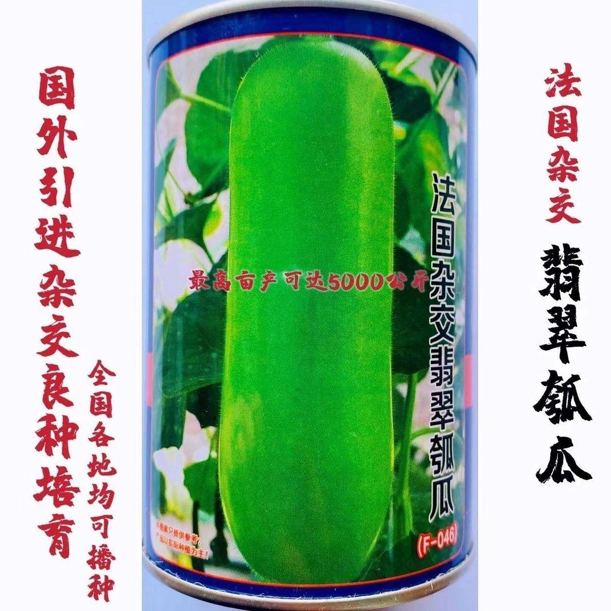 法国杂交翡翠瓠瓜种子短蒲