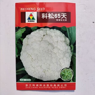 科松65青梗松花菜种籽早熟杂交耐热花球圆整松大花梗嫩绿花椰菜籽