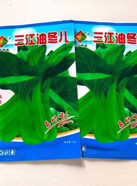 三江油冬儿杭州油冬儿小青菜种子小白菜菜园耐寒菜苔杭州地方品种