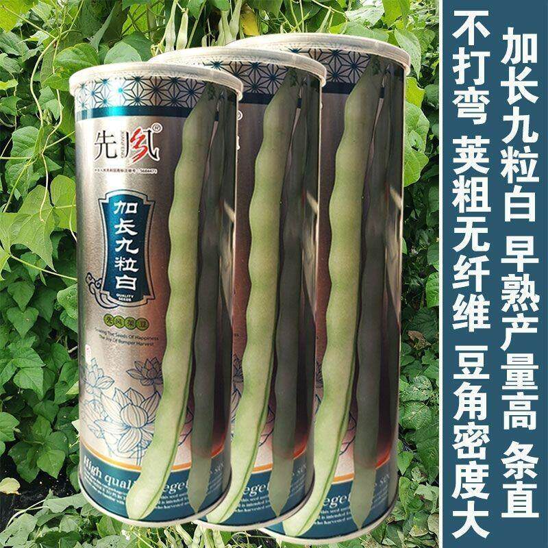加长九粒白芸豆种子豆角架豆四季豆种蔬菜春季秋季四季播耐热高产