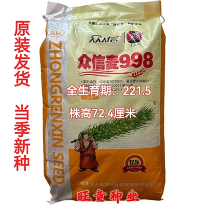 众信麦998半冬性小麦种子高产稳产抗病抗冻亩株22至25万株正宗