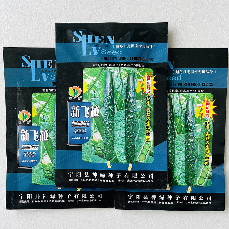 新飞越黄瓜种子越冬大棚专用品种密刺短把耐寒高产黄瓜种籽不歇秧