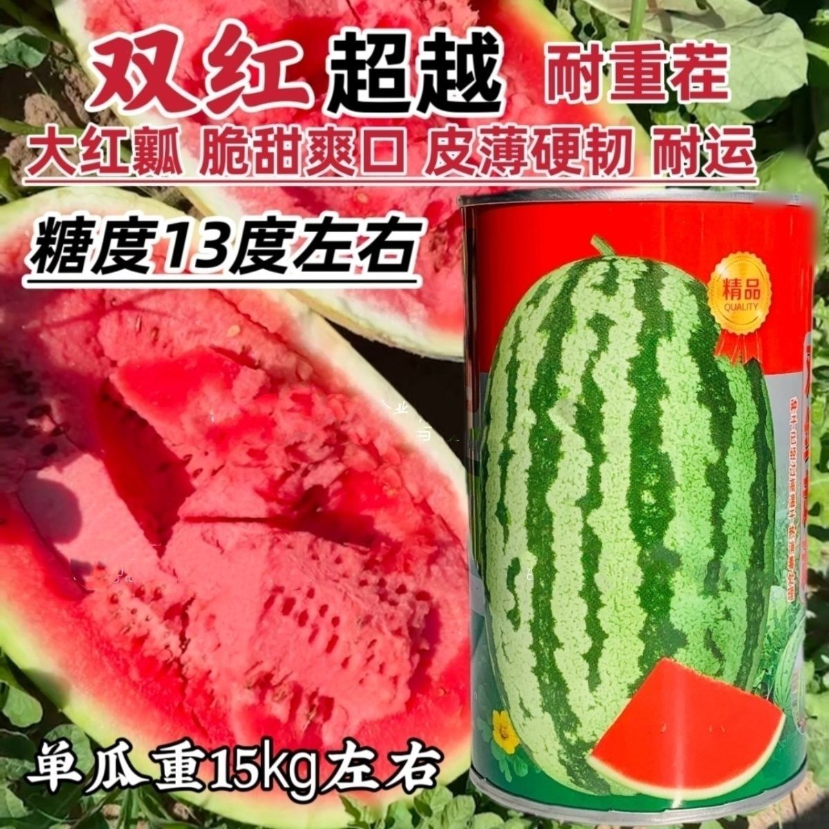 永江双红超越西瓜种子特大号西瓜大红瓤糖度高耐重茬椭圆形西瓜种