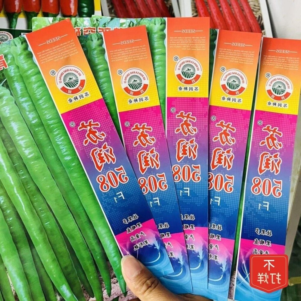 苏润508辣椒种子线椒高端品种高产抗病口感好采收