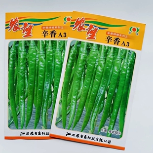 【只卖真货】农望辛香A3辣椒种子鲜食为主口感好皮薄质脆味辣长线
