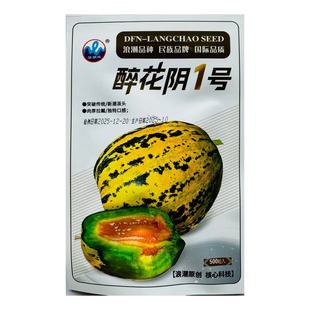 (500粒)醉花阴1号 花美人甜瓜  长春大富农薄皮甜瓜种子基地专用