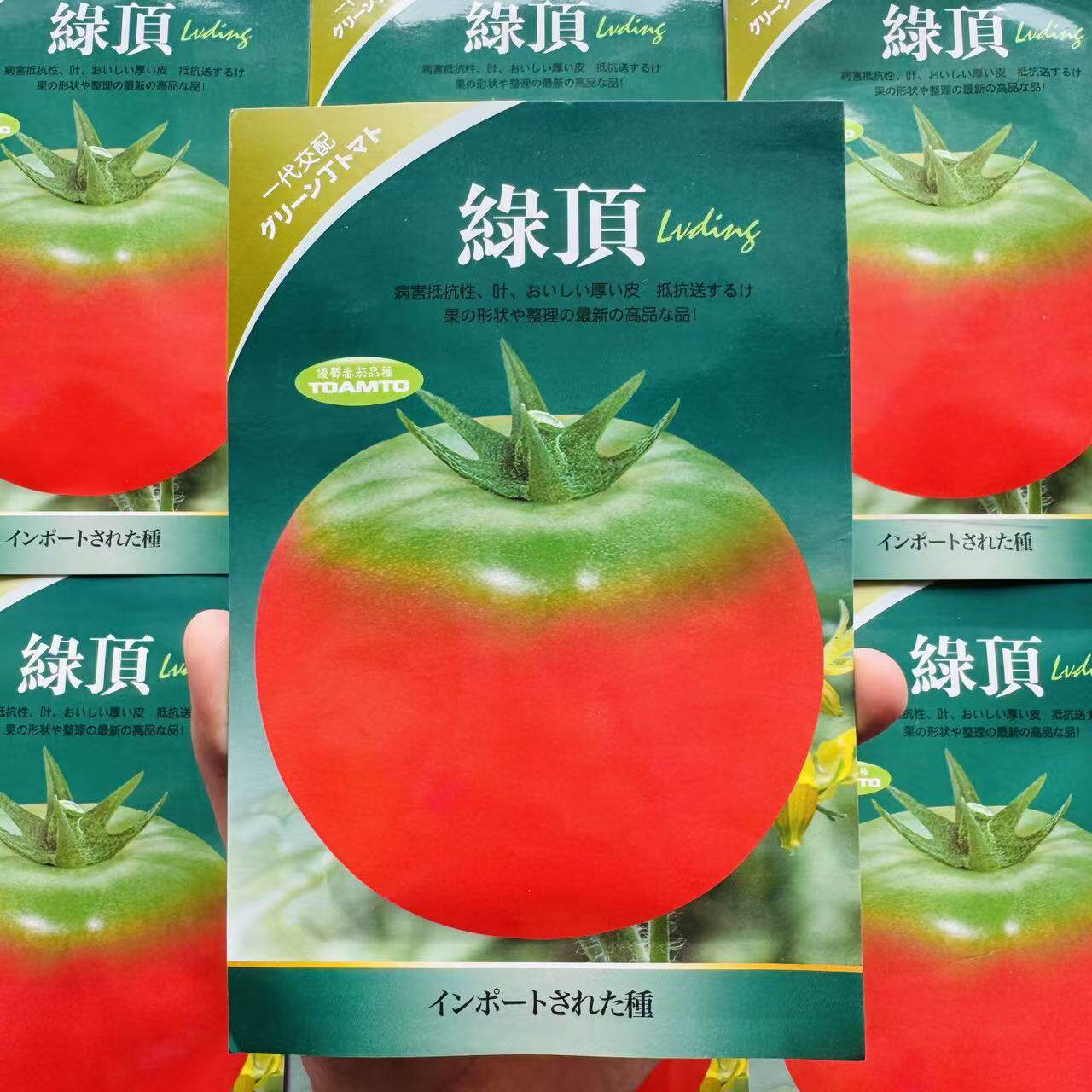 绿顶绿肩番茄种子东北铁皮柿子 西红柿籽草莓番茄种子口感酸甜
