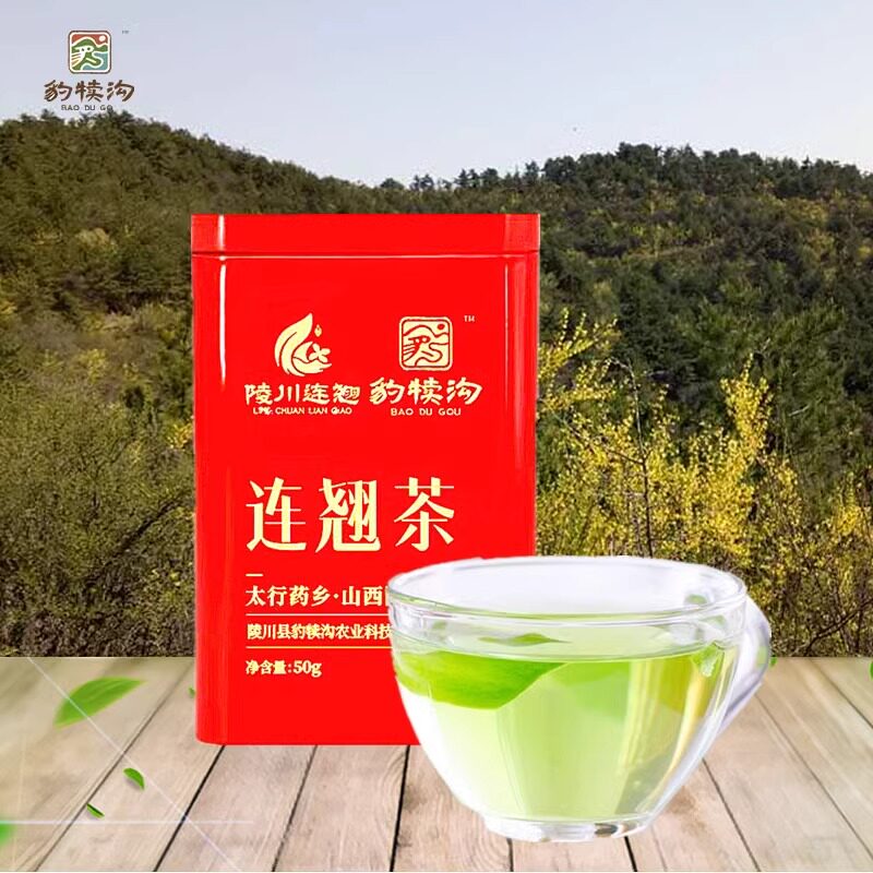 豹犊沟连翘茶山西陵川特产自然生长茶叶绿茶连翘茶叶50g