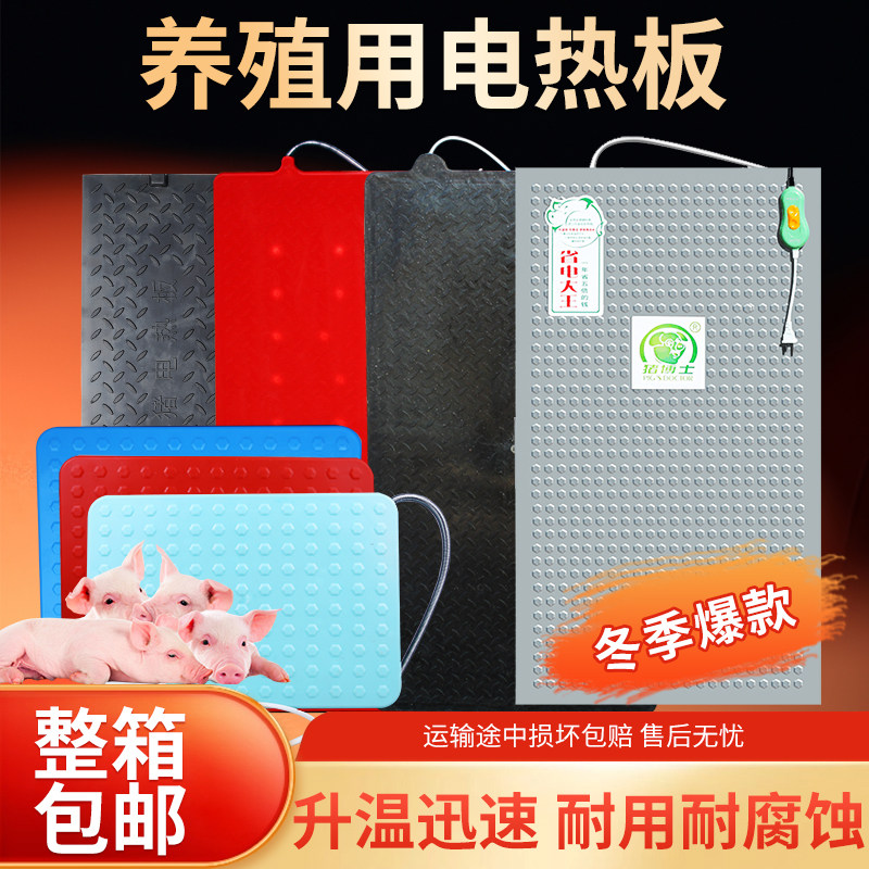 仔猪电热板兽用不锈钢加热板小型宠物保温板养殖场电热板取暖设备