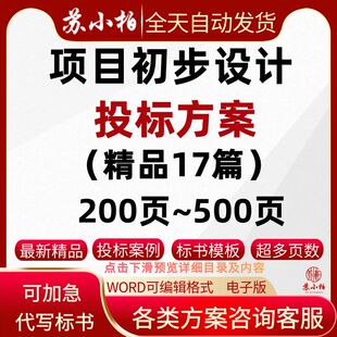 市政道路管网建设项目初步设计服务投标方案范本技术标书制作代写