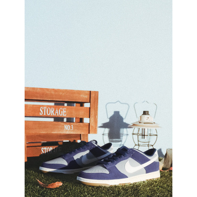 NIKEDUNKLOW男士复古板鞋