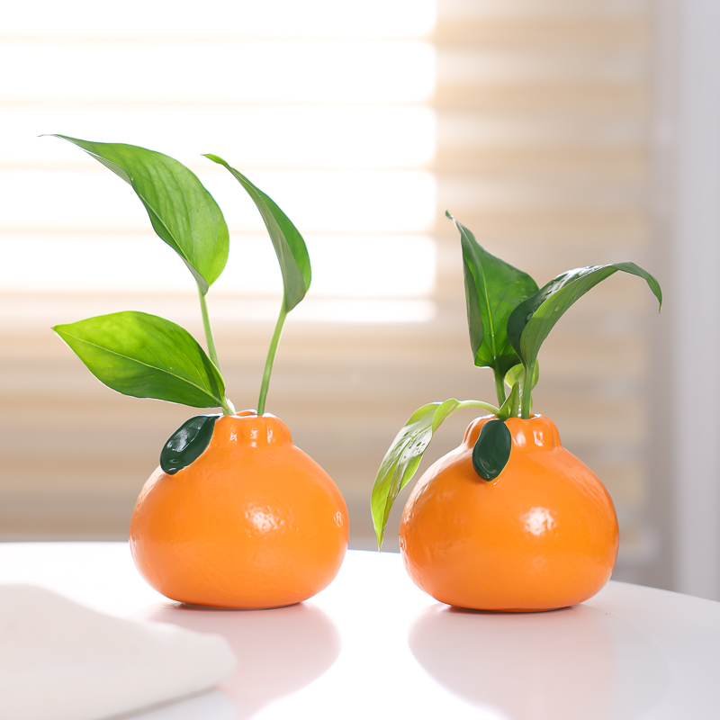 创意陶瓷小花瓶水培植物绿萝