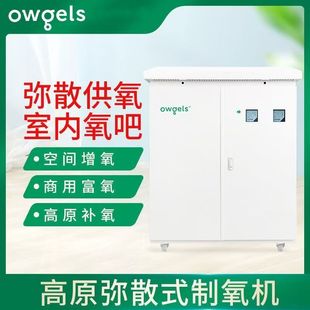 欧格斯高原弥散式制氧机家用吸氧高原空间增氧会议室补氧室内氧吧