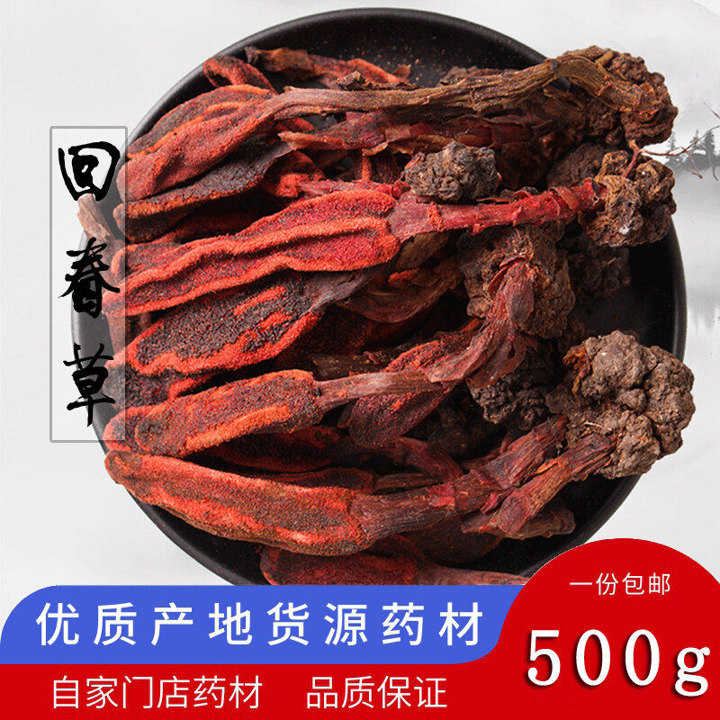 中根回春草500g回心草顶天柱独根草草苁蓉一柱天不老草万生菌