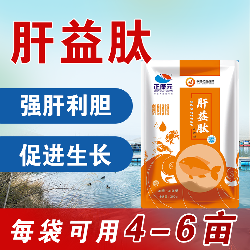正康元肝益肽 保肝宁 舒肝利胆肝胆综合症花肝白肝肝肿大水产养殖