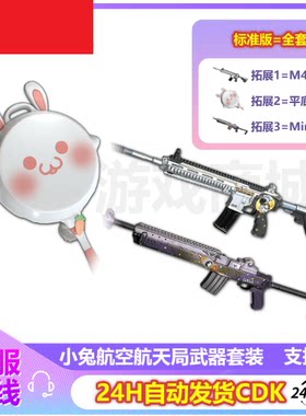 PUBG绝地求生皮肤小兔航空航天局武器套装M4平底锅MINI兑换码CDK