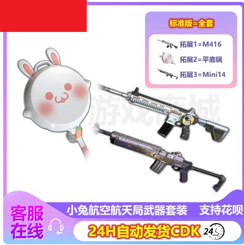 PUBG绝地求生皮肤小兔航空航天局武器套装M4平底锅MINI兑换码CDK