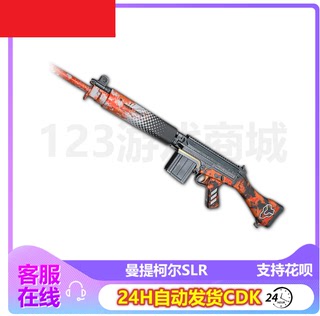 PUBG绝地求生皮肤枪武器曼提柯尔SLR大炮激活码兑换码CDK端游吃鸡