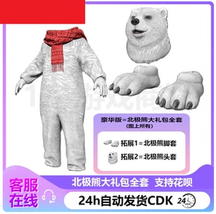 PUBG绝地求生皮肤 北极熊礼包头套脚套 雪地吉利服 吃鸡CDK兑换码