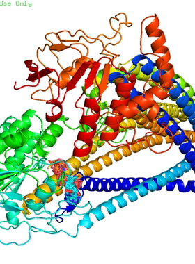 蛋白分子对接Discovery Studio分析3D结构2D结构图PyMOL