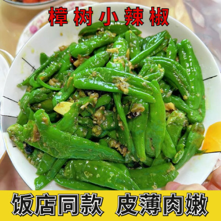 5斤湖南樟树港小辣椒新鲜辣椒现摘薄皮嫩小青椒湘菜饭馆产地直发