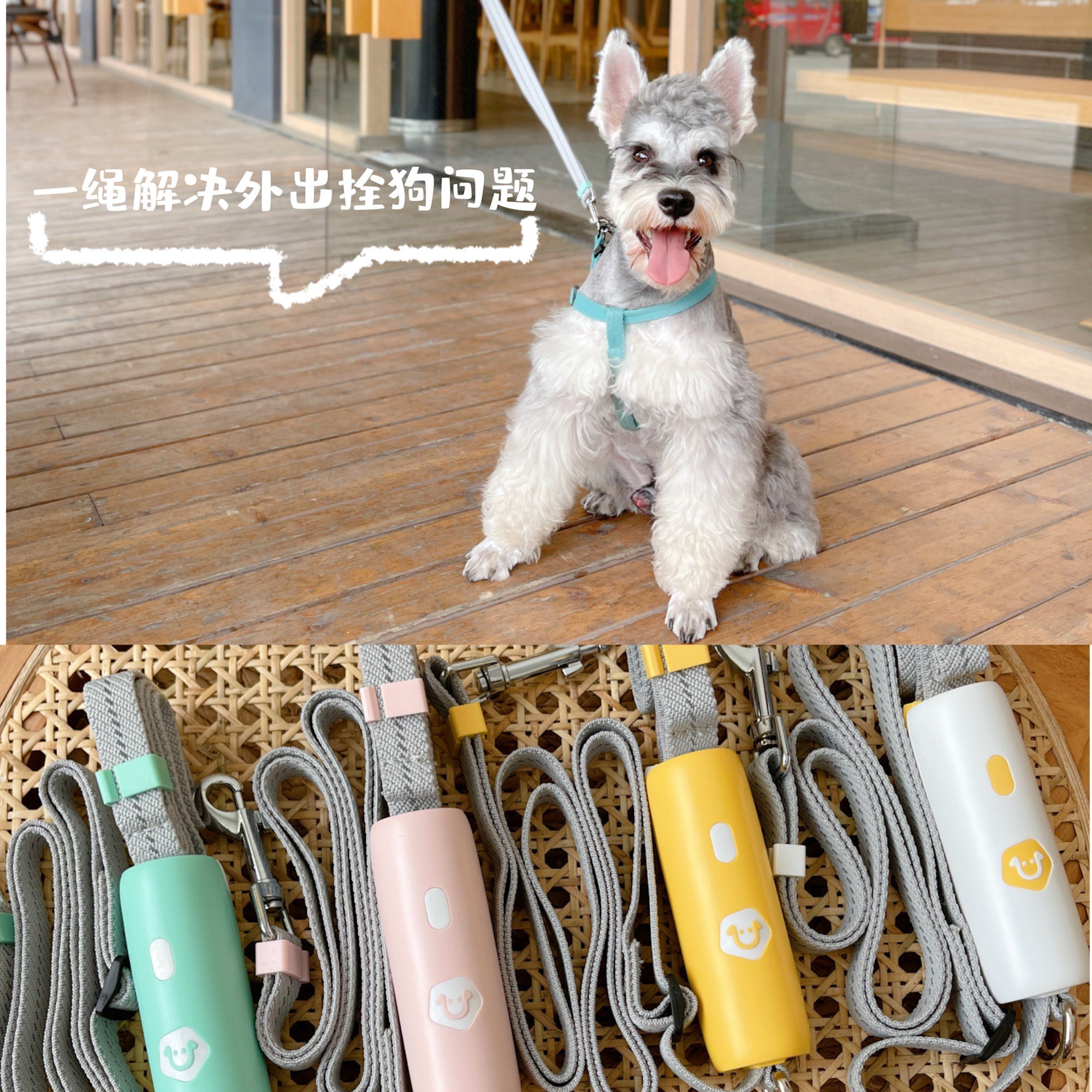 liuta宠物牵引绳外出拴狗牵引遛狗绳卡扣通用绳子狗链子中小大型