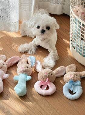 狗玩具幼犬发声兔子逗狗玩具