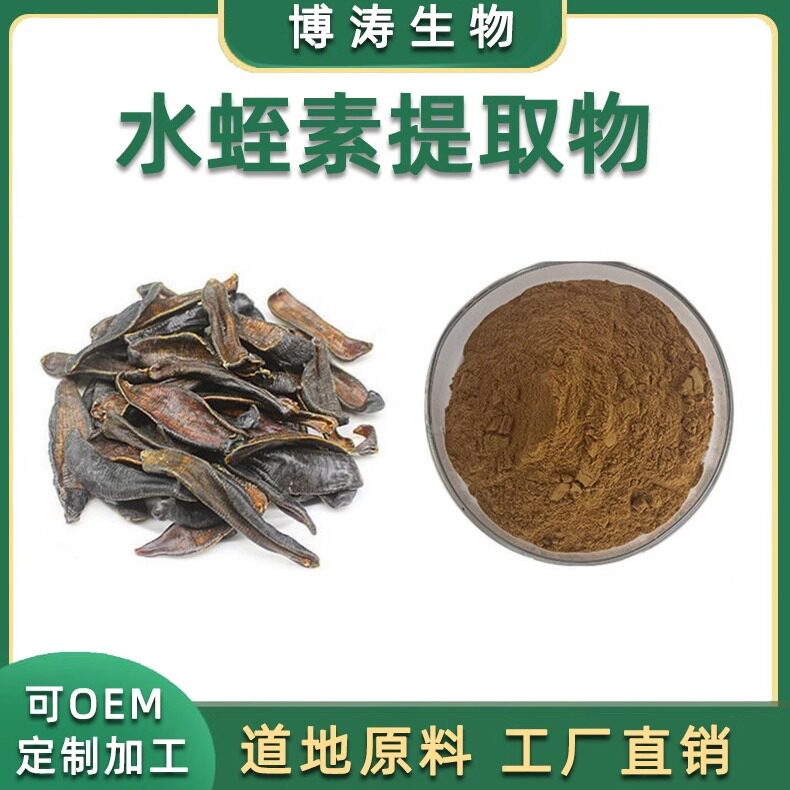 水蛭提取物浓缩免煎粉1g