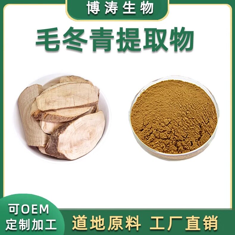 毛冬青提取物细叶浓缩免煎粉