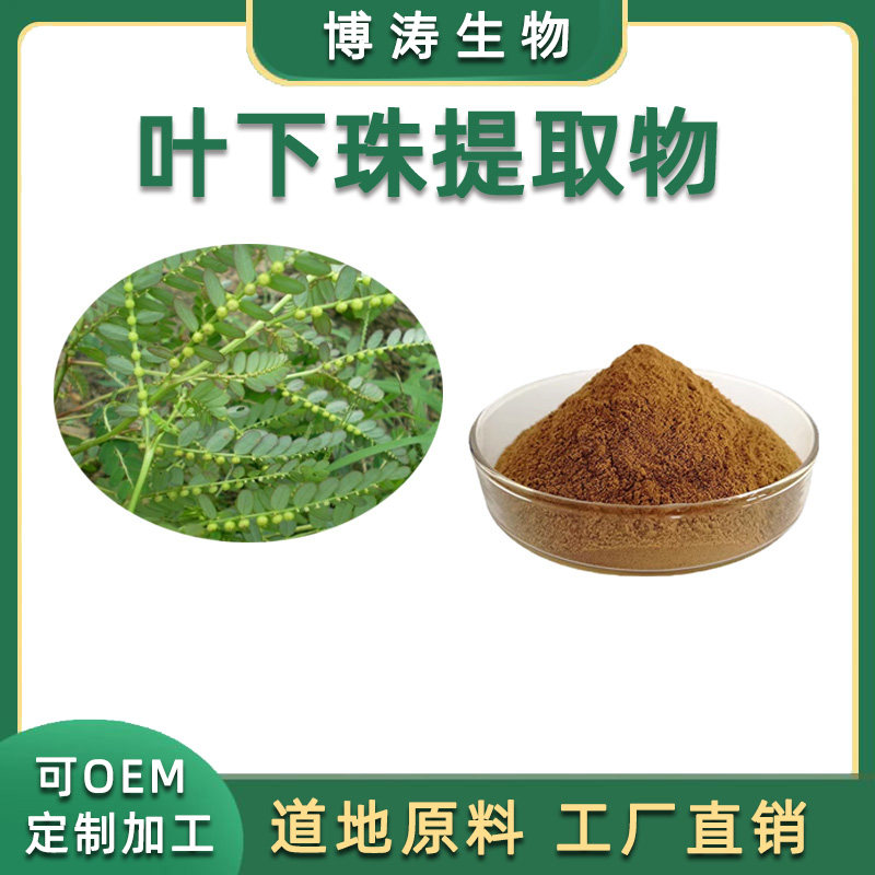 叶下珠提取物 20:1 叶下珠粉浓缩粉植物萃取原料粉 珍珠草 送量勺