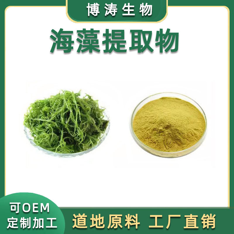 海藻提取物 海藻粉30:1浓缩水溶粉植物萃取浸膏粉