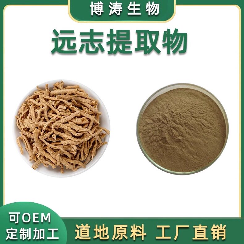 提取物天然远志肉浓缩精华包邮