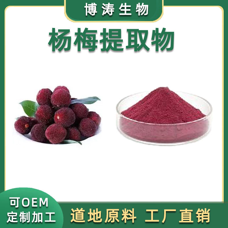杨梅提取物 杨梅果汁粉 喷雾干燥水溶粉100克散装 天然植物原料